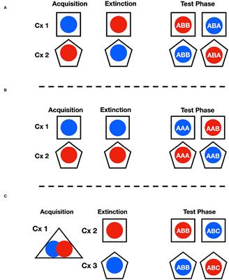 Conditional Control of Instrumental Avoidance by Context Following Extinction